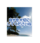 背景が動く▶︎自然が好き--ハワイHawaii--（個別スタンプ：7）