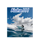背景が動く▶︎自然が好き--ハワイHawaii--（個別スタンプ：8）