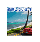 背景が動く▶︎自然が好き--ハワイHawaii--（個別スタンプ：11）