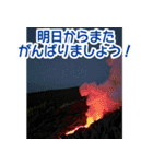 背景が動く▶︎自然が好き--ハワイHawaii--（個別スタンプ：16）