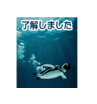 背景が動く▶︎自然が好き---海の生き物---（個別スタンプ：1）