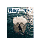 背景が動く▶︎自然が好き---海の生き物---（個別スタンプ：4）