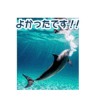 背景が動く▶︎自然が好き---海の生き物---（個別スタンプ：5）