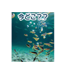 背景が動く▶︎自然が好き---海の生き物---（個別スタンプ：14）
