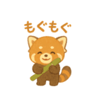レッサーパンダのかわいい日常（個別スタンプ：8）