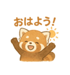 レッサーパンダのかわいい日常（個別スタンプ：11）