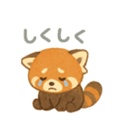 レッサーパンダのかわいい日常（個別スタンプ：13）