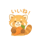 レッサーパンダのかわいい日常（個別スタンプ：18）