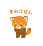 レッサーパンダのかわいい日常（個別スタンプ：21）