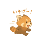 レッサーパンダのかわいい日常（個別スタンプ：33）