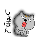 【感情を伝える】ネコ三兄弟二郎28（個別スタンプ：13）