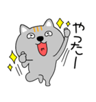 【感情を伝える】ネコ三兄弟二郎28（個別スタンプ：19）