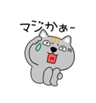 【感情を伝える】ネコ三兄弟二郎28（個別スタンプ：24）