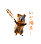 ハッピーアニマル_クオッカワラビー38（個別スタンプ：2）