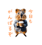 ハッピーアニマル_クオッカワラビー38（個別スタンプ：4）
