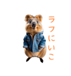 ハッピーアニマル_クオッカワラビー38（個別スタンプ：13）