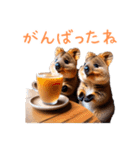 ハッピーアニマル_クオッカワラビー38（個別スタンプ：15）