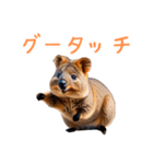 ハッピーアニマル_クオッカワラビー38（個別スタンプ：16）