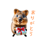 ハッピーアニマル_クオッカワラビー38（個別スタンプ：18）