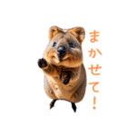 ハッピーアニマル_クオッカワラビー38（個別スタンプ：23）