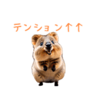 ハッピーアニマル_クオッカワラビー38（個別スタンプ：25）