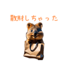 ハッピーアニマル_クオッカワラビー38（個別スタンプ：35）
