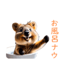 ハッピーアニマル_クオッカワラビー38（個別スタンプ：37）