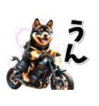 即返信♡バイク好き 黒柴（個別スタンプ：1）