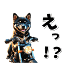 即返信♡バイク好き 黒柴（個別スタンプ：2）