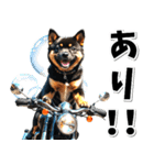 即返信♡バイク好き 黒柴（個別スタンプ：3）