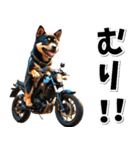 即返信♡バイク好き 黒柴（個別スタンプ：4）
