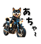 即返信♡バイク好き 黒柴（個別スタンプ：5）