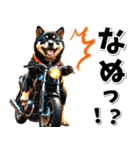 即返信♡バイク好き 黒柴（個別スタンプ：6）