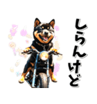 即返信♡バイク好き 黒柴（個別スタンプ：7）