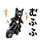 即返信♡バイク好き 黒柴（個別スタンプ：8）