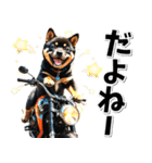 即返信♡バイク好き 黒柴（個別スタンプ：9）
