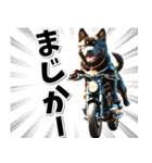 即返信♡バイク好き 黒柴（個別スタンプ：11）
