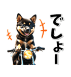 即返信♡バイク好き 黒柴（個別スタンプ：14）