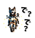 即返信♡バイク好き 黒柴（個別スタンプ：15）