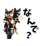 即返信♡バイク好き 黒柴（個別スタンプ：16）