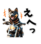 即返信♡バイク好き 黒柴（個別スタンプ：19）