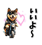 即返信♡バイク好き 黒柴（個別スタンプ：20）