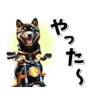 即返信♡バイク好き 黒柴（個別スタンプ：22）