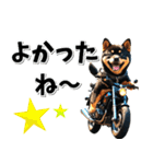 即返信♡バイク好き 黒柴（個別スタンプ：23）