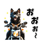即返信♡バイク好き 黒柴（個別スタンプ：24）
