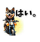 即返信♡バイク好き 黒柴（個別スタンプ：25）
