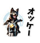 即返信♡バイク好き 黒柴（個別スタンプ：27）