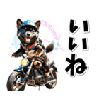 即返信♡バイク好き 黒柴（個別スタンプ：28）