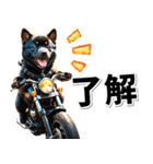 即返信♡バイク好き 黒柴（個別スタンプ：30）