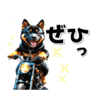 即返信♡バイク好き 黒柴（個別スタンプ：31）